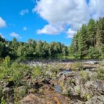 Hammarstrands Camping - Bild 18