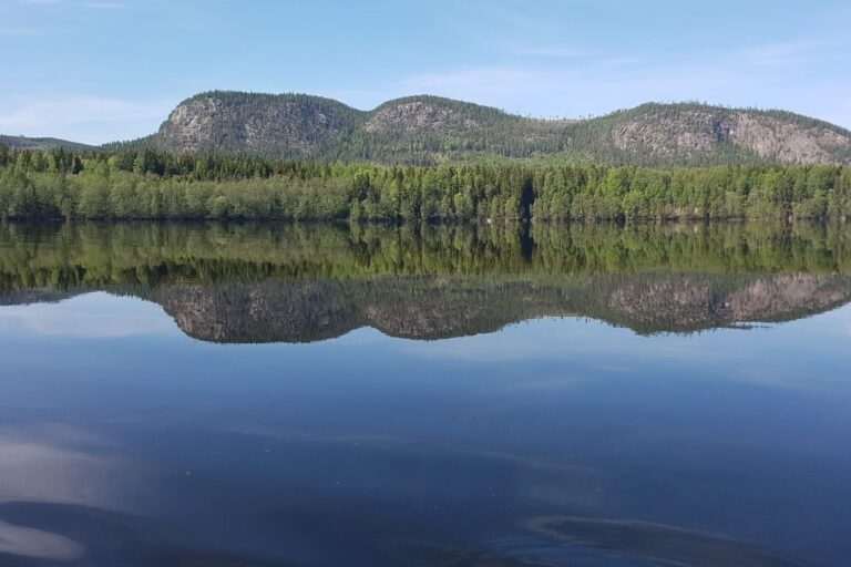 Hammarstrands Camping - Bild 19