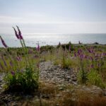 Haverdals Camping - Bild 11