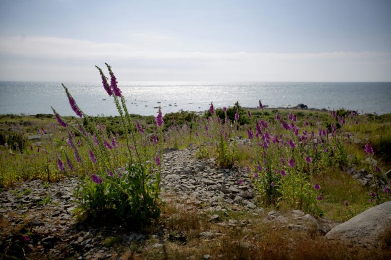 Haverdals Camping - Bild 11