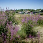 Haverdals Camping - Bild 18