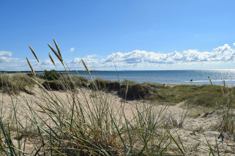 Haverdals Camping - Bild 7