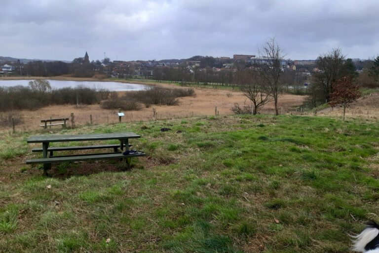 Hobro Camping Gattenborg - Bild 8