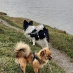 Hobro Camping Gattenborg - Bild 9