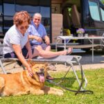 Holmernhof Camping Und Mehr... - Bild 5