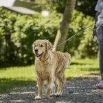 Horsens City Camping - Bild 5