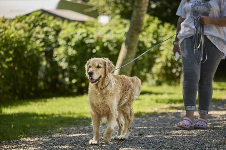 Horsens City Camping - Bild 5