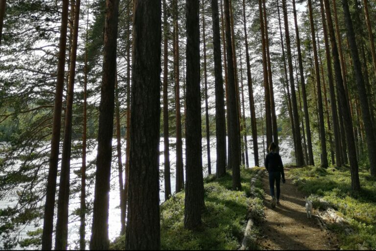 Hotings Camping - Bild 7