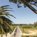 Hu Park Albatros Village - Bild 15