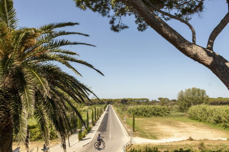 Hu Park Albatros Village - Bild 15