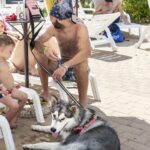 Hu Park Albatros Village - Bild 8