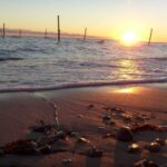 Hummingen Camping - Bild 2