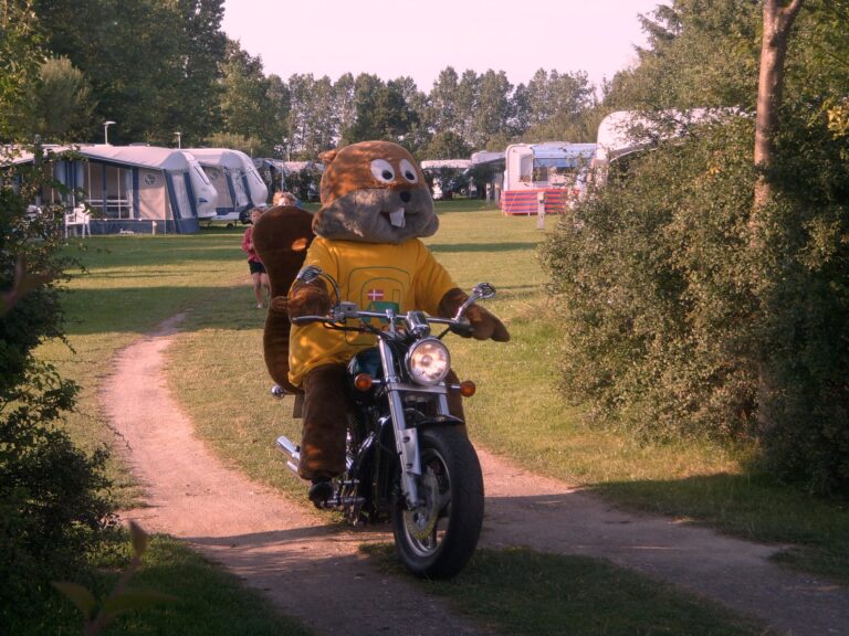 Hummingen Camping - Bild 4