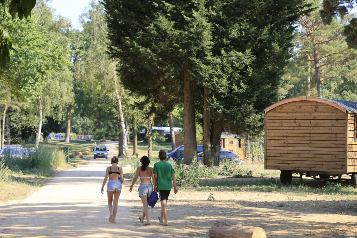 Huttopia De Meinweg - Bild 3 Huttopia De Meinweg - Bild 3