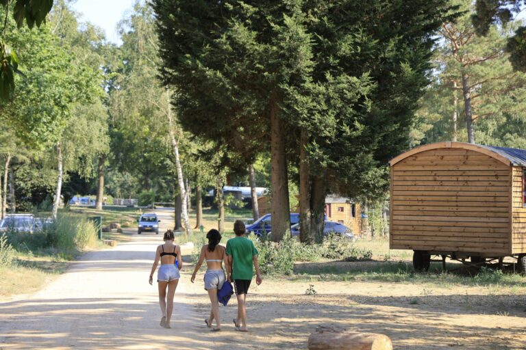 Huttopia De Meinweg - Bild 3 Huttopia De Meinweg - Bild 3