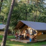 Huttopia De Veluwe - Bild 6