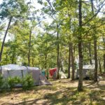 Huttopia Lac De Rillé - Bild 7