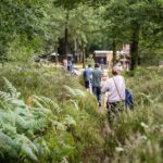 Huttopia Lac De Sillé - Bild 13 Huttopia Lac De Sillé - Bild 13