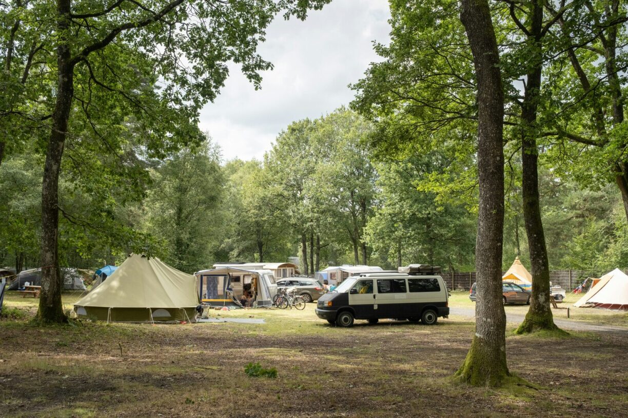 Huttopia Lac De Sillé - Bild 3 Huttopia Lac De Sillé - Bild 3