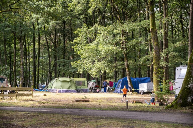 Huttopia Lac De Sillé - Bild 6 Huttopia Lac De Sillé - Bild 6