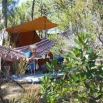 Huttopia Landes Sud - Bild 11 Huttopia Landes Sud - Bild 11