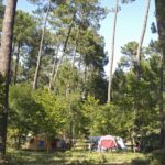 Huttopia Landes Sud - Bild 14 Huttopia Landes Sud - Bild 14