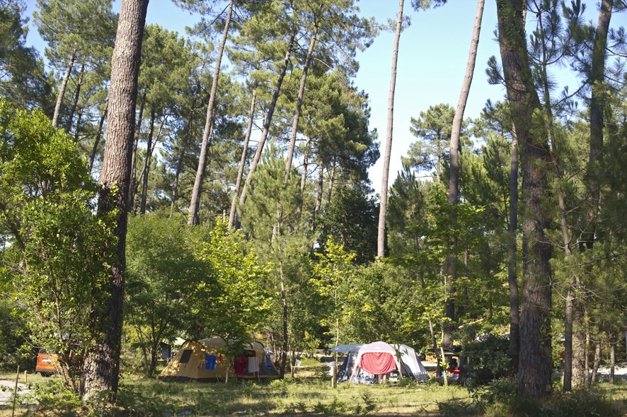 Huttopia Landes Sud - Bild 14 Huttopia Landes Sud - Bild 14