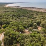 Huttopia Oléron Les Chênes Verts - Bild 2 Huttopia Oléron Les Chênes Verts - Bild 2