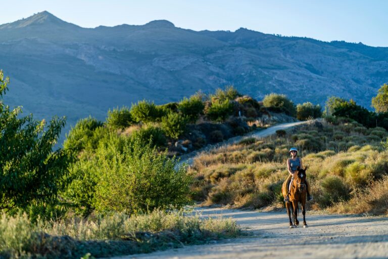 Huttopia Parque Doñana - Bild 12