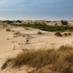 Huttopia Parque Doñana - Bild 8