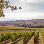 Huttopia Pays De Cordes Sur Ciel - Bild 16 Huttopia Pays De Cordes Sur Ciel - Bild 16