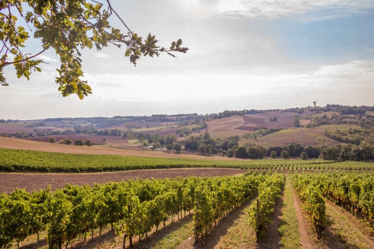 Huttopia Pays De Cordes Sur Ciel - Bild 16 Huttopia Pays De Cordes Sur Ciel - Bild 16