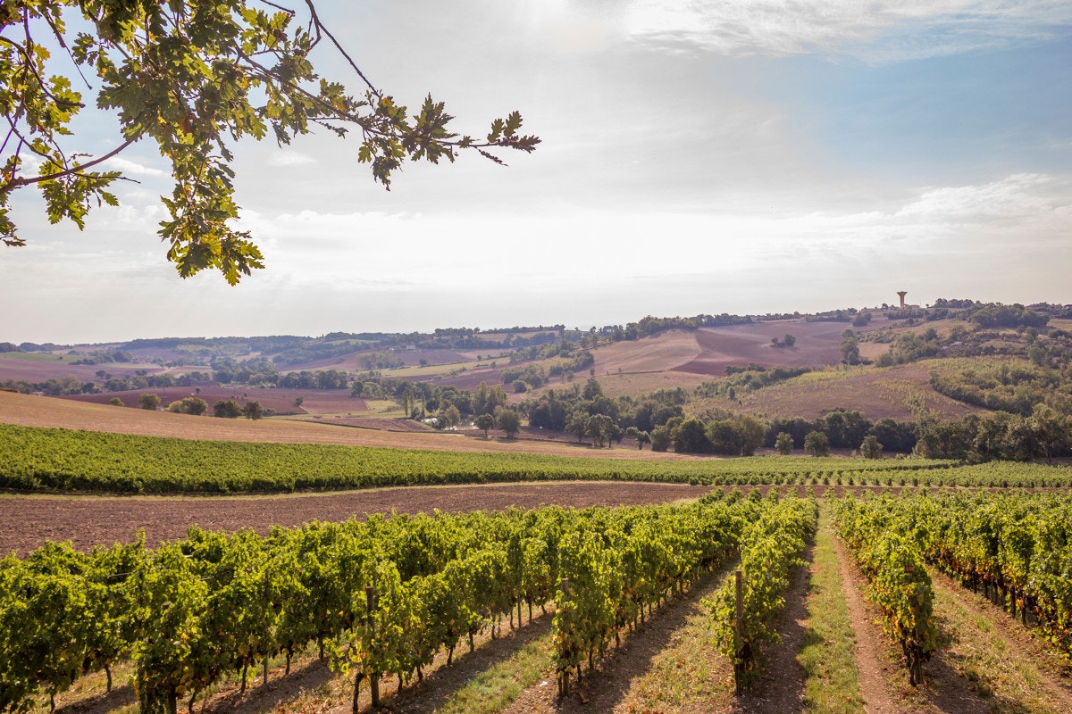 Huttopia Pays De Cordes Sur Ciel - Bild 16 Huttopia Pays De Cordes Sur Ciel - Bild 16