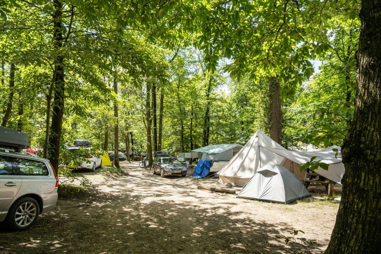 Huttopia Versailles - Bild 10 Huttopia Versailles - Bild 10