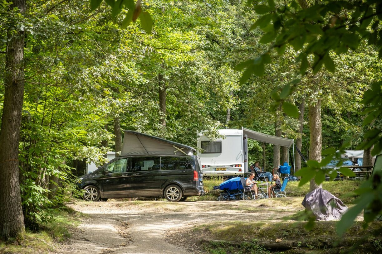 Huttopia Versailles - Bild 11 Huttopia Versailles - Bild 11