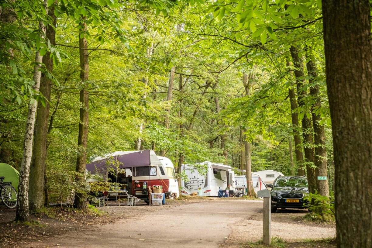 Huttopia Versailles - Bild 12 Huttopia Versailles - Bild 12