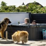 Hvidbjerg Strand Feriepark - Bild 12