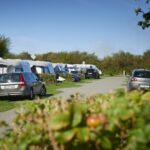 Hvidbjerg Strand Feriepark - Bild 8