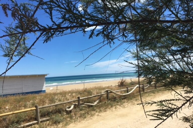 International Camping Torre Cerrano - Bild 9