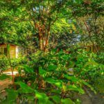 International Glamping Lago Di Bracciano - Bild 16