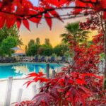 International Glamping Lago Di Bracciano - Bild 2