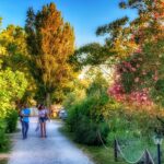 International Glamping Lago Di Bracciano - Bild 5