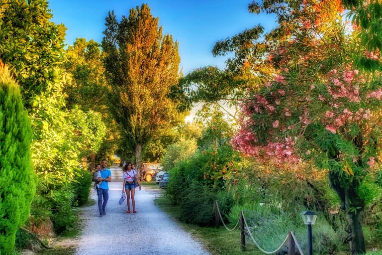 International Glamping Lago Di Bracciano - Bild 5