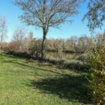 Isarcamping Landshut - Bild 14