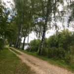 Isarcamping Landshut - Bild 16