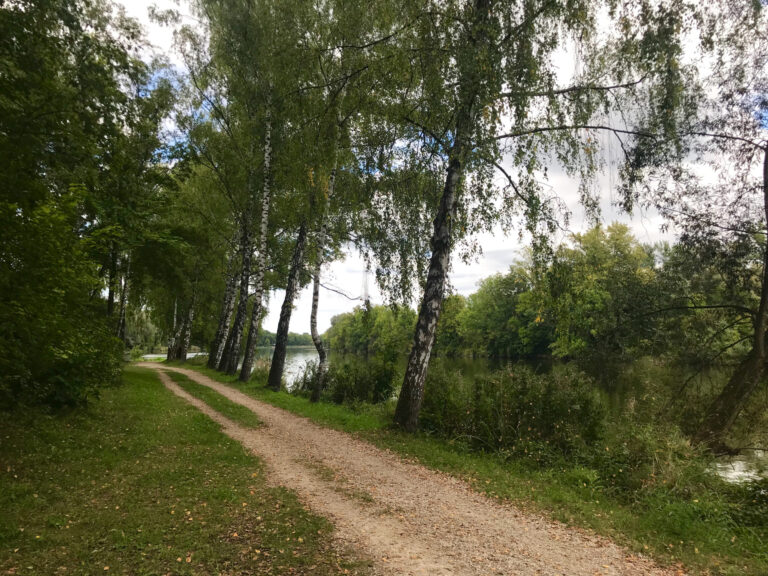 Isarcamping Landshut - Bild 16