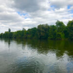 Isarcamping Landshut - Bild 7