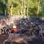 Kallsedets Camping & Stugor - Bild 10 Kallsedets Camping & Stugor - Bild 10