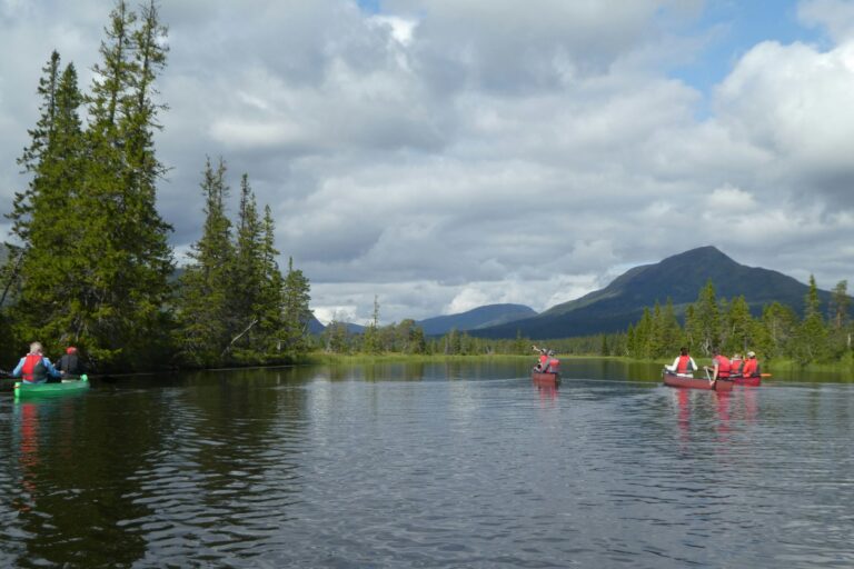 Kallsedets Camping & Stugor - Bild 7 Kallsedets Camping & Stugor - Bild 7