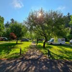 Kamp Savinja - Bild 2